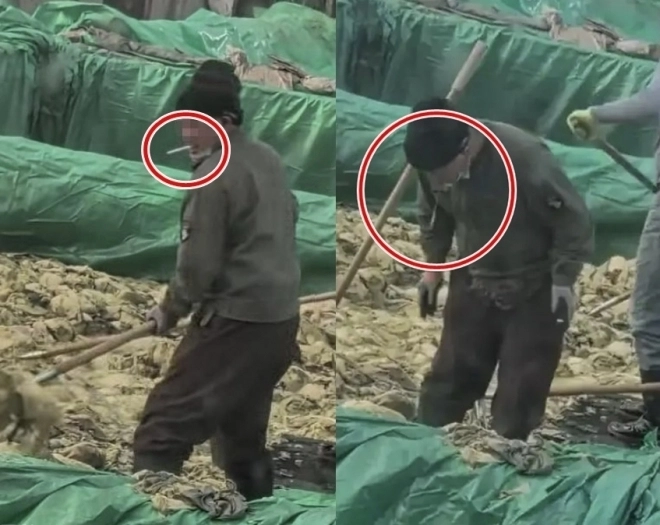 지난해 10월 중국 랴오닝성 후루다오시의 한 절임배추 공장에서 촬영된 영상에서 남성 작업자가 작업 중 담배를 피우고 침을 뱉고 있다. 소셜미디어(SNS) 캡처