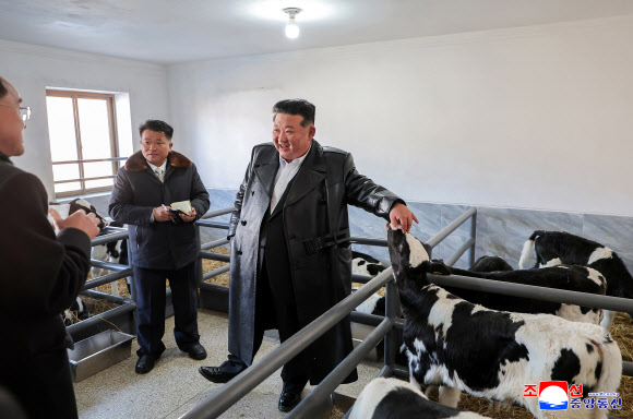 북한, 삼광축산농장 조업