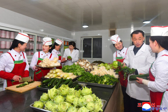 북한 신의주온실종합농장이 준공 후 첫 남새(채소)를 수확해 토마토·고추·오이·배추 등을 시안의 상업봉사단위와 애육원·초등학원·중등학원에 공급했다고 조선중앙통신이 9일 보도했다. 2026.2.9. 평양 조선중앙통신 연합뉴스