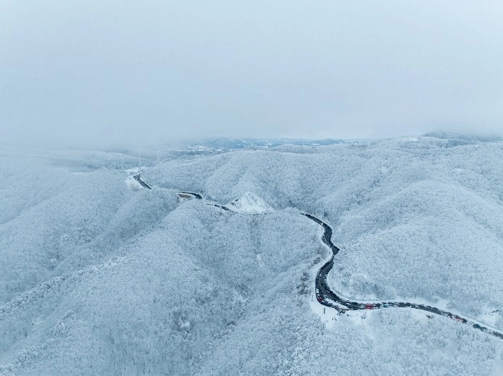 강원 강릉시가 2026~2027 강릉 방문의 해를 맞아 2월 여행지로 추천한 대관령 옛길. 강릉시 제공