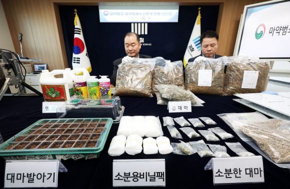 도심과 주택가 한가운데에 전문 대마 재배시설을 설치해 대량의 대마를 재배 및 유통한 일당이 구속돼 재판에 넘겨졌다. 이들은 대마 재배를 위해 온실과 LED 조명 기구 등 장비를 갖추고 수사기관의 단속을 피하려고 외부 감시용 CCTV까지 설치하며 장기간 대마를 재배해 온 것으로 드러났다. 마약범죄 정부합동수사본부(마약합수본)는 마약류관리에 관한 법률 위반(대마) 등 혐의로 A(43)씨와 B(41·중앙아시아 국적)씨 등 4명을 구속 기소했다고 12일 밝혔다. 사진은 대마 재배 장비와 건대마 등 압수품. 2026.2.12. 연합뉴스