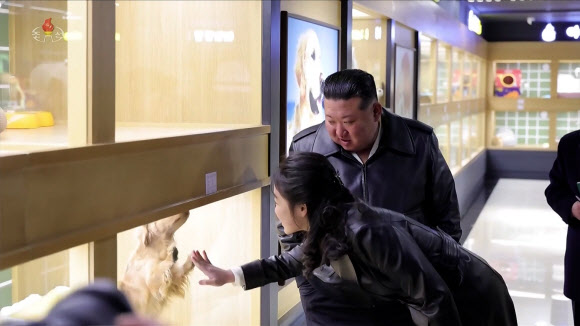 케이지 속 애완견에 손 내미는 주애