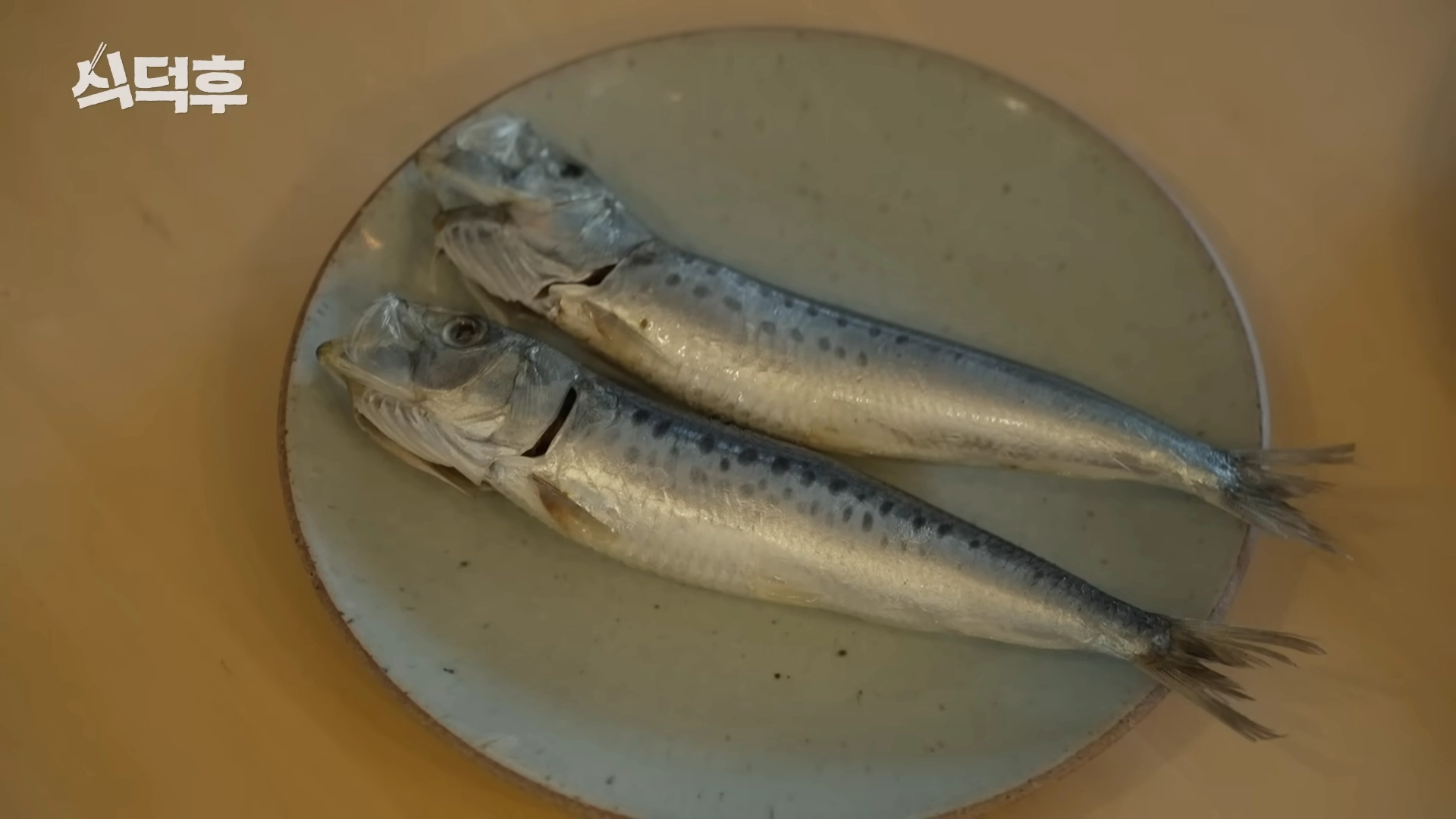 TEO(테오) 웹 예능 ‘식덕후’