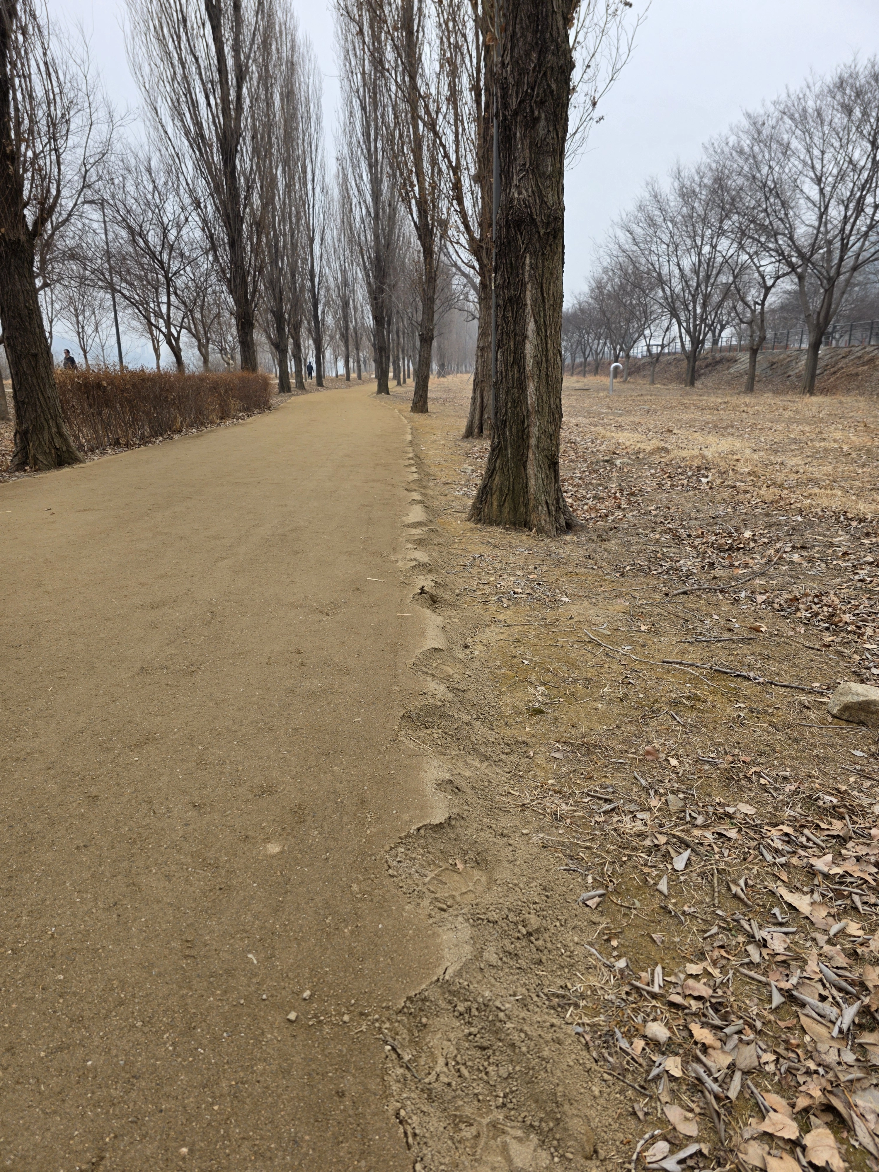 이촌한강공원 미루나무 숲길 내 조성된 마사톳길 현장