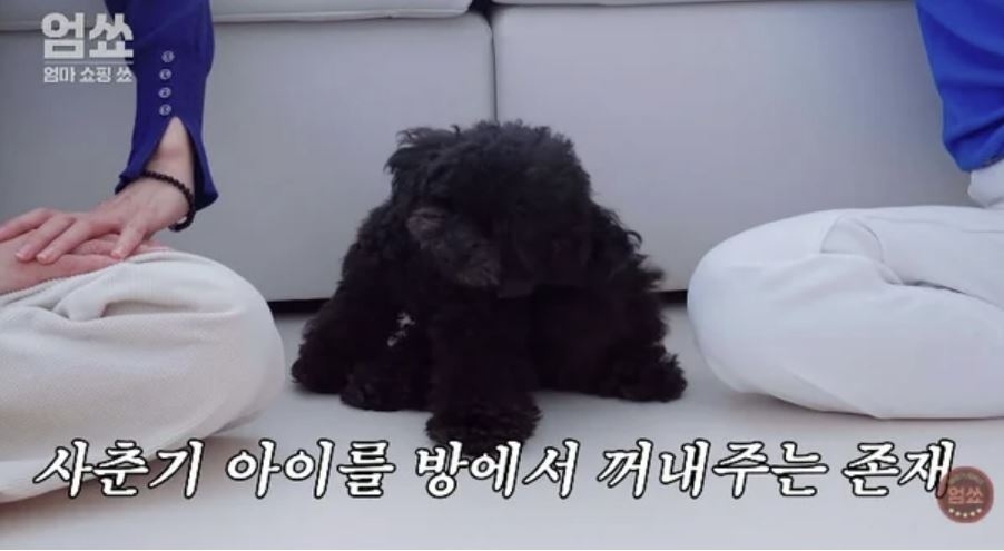 유튜브 ‘엄쑈’ 캡처