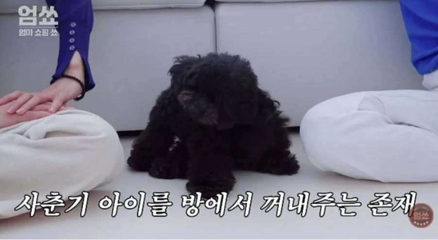 유튜브 ‘엄쑈’ 캡처