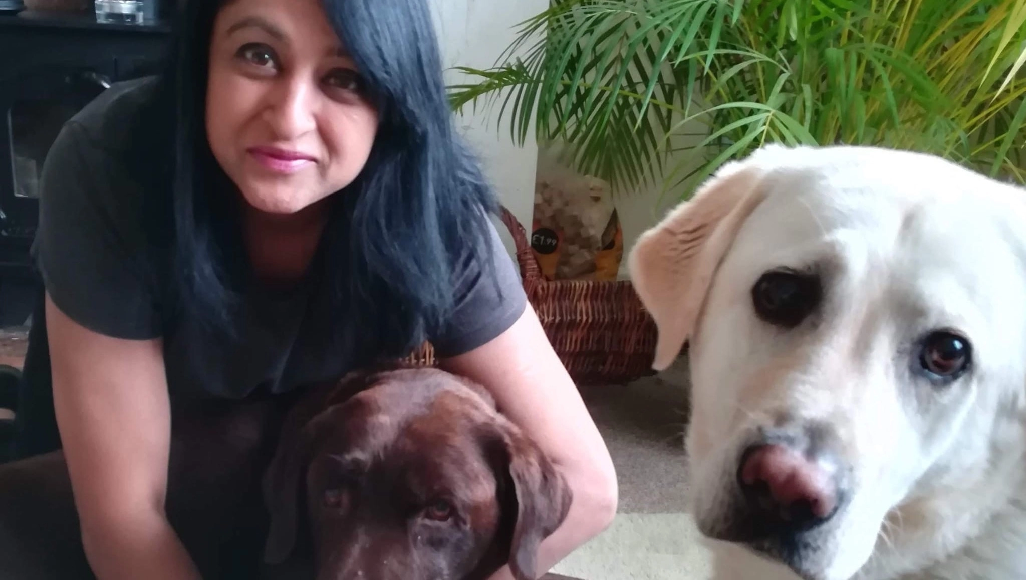 반려견과 놀아준 뒤 패혈증에 걸려 사지를 절단한 영국 여성 만짓 상하. 고펀드미 등 캡처