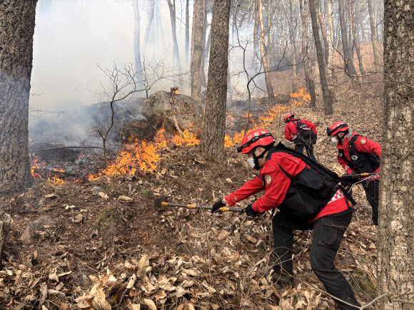 함양 산불 진화작업