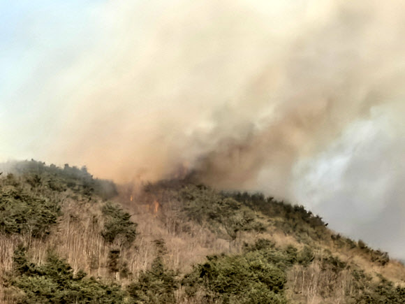 연기 자욱한 함양 산불 현장
