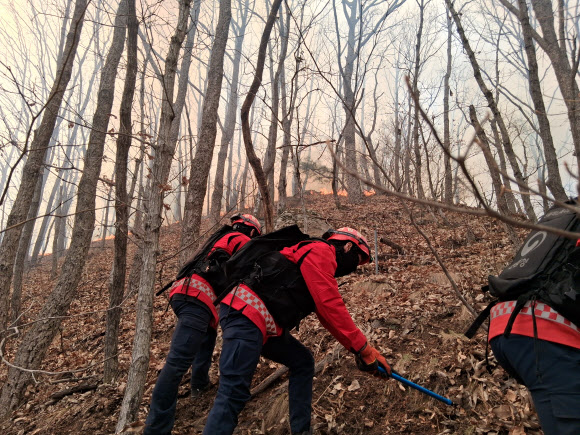 방화선 구축하는 함양 산불진화대원