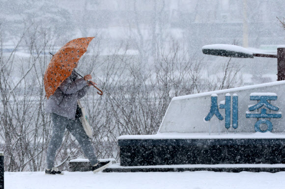충청 지역 곳곳에 대설주의보가 내려진 24일 세종시 세종호수공원 일대에서 한 시민이 우산을 쓰고서 걸어가고 있다.  대설주의보는 24시간 동안 눈이 5㎝ 이상 쌓일 것으로 예측될 때 내려진다. 2026.2.24 연합뉴스
