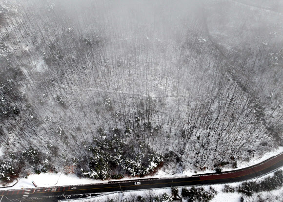 25일 경북 칠곡군 석적읍 국립 칠곡 숲체원 인근 도로에서 전날 내린 폭설 사이로 차량이 지나가고 있다. 2026.2.25  연합뉴스