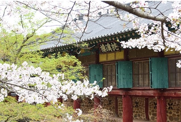 순천 송광사 침계루