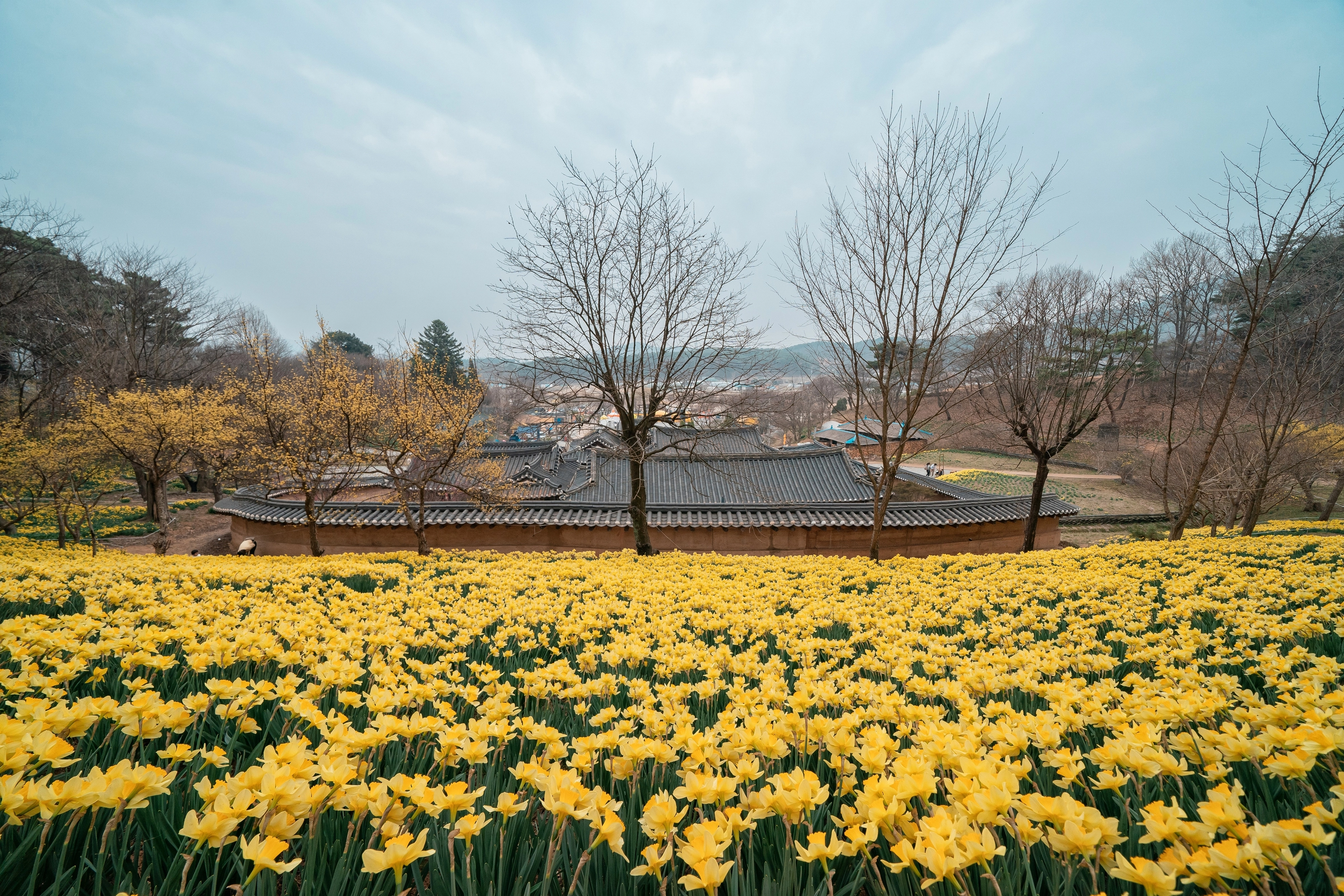 서산 유기방가옥. 도 제공