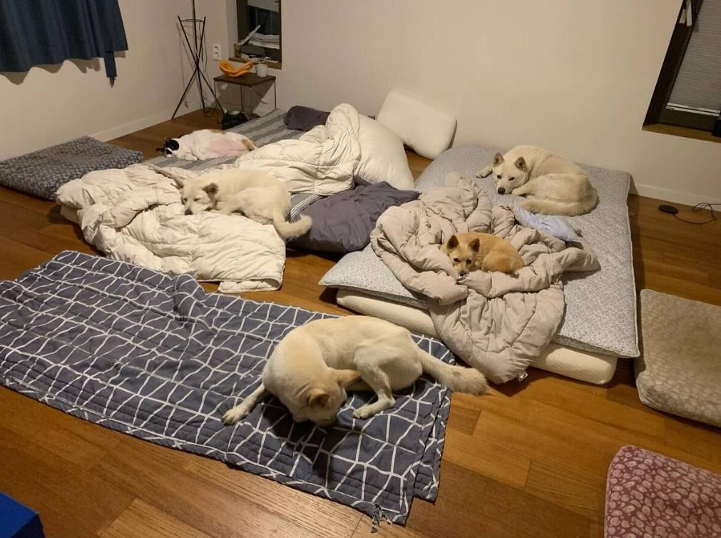 사진=이효리 SNS 캡처