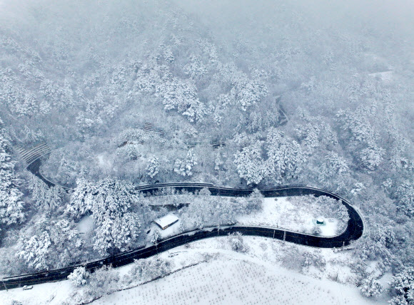 산지와 내륙을 중심으로 폭설이 예보된 2일 강원 양양군 구룡령 옛길에 많은 눈이 쌓여 있다. 2026.3.2 연합뉴스