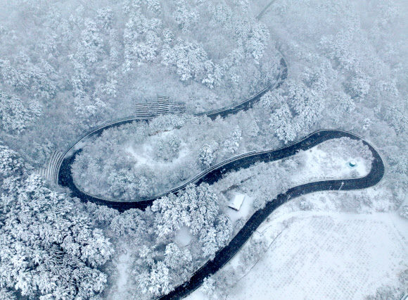 산지와 내륙을 중심으로 폭설이 예보된 2일 강원 양양군 구룡령 옛길에 많은 눈이 쌓여 있다. 2026.3.2 연합뉴스