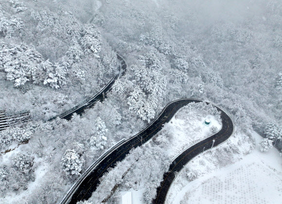 산지와 내륙을 중심으로 폭설이 예보된 2일 강원 양양군 구룡령 옛길에 많은 눈이 쌓여 있다. 2026.3.2 연합뉴스