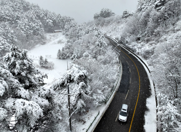 산지와 내륙을 중심으로 폭설이 예보된 2일 강원 양양군 구룡령 옛길에 많은 눈이 쌓여 있다. 2026.3.2 연합뉴스