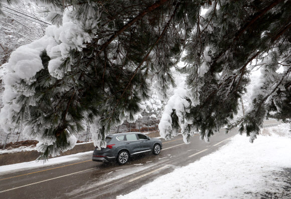 산지와 내륙을 중심으로 폭설이 예보된 2일 강원 양양군 구룡령 옛길에 많은 눈이 쌓여 있다. 2026.3.2 연합뉴스