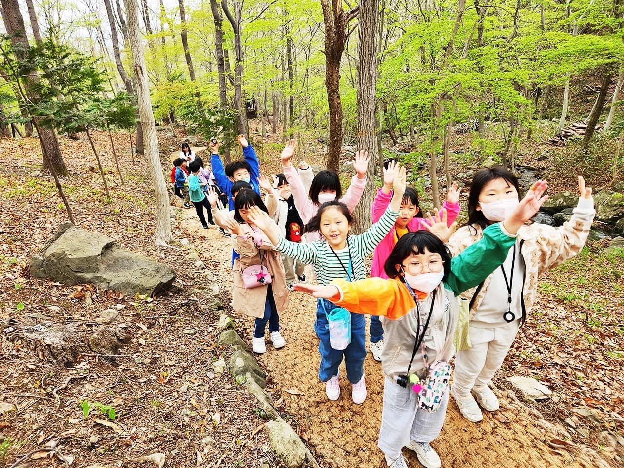 어린이들이 제암산 자연휴양림 안심 놀이터를 즐기고 있다.