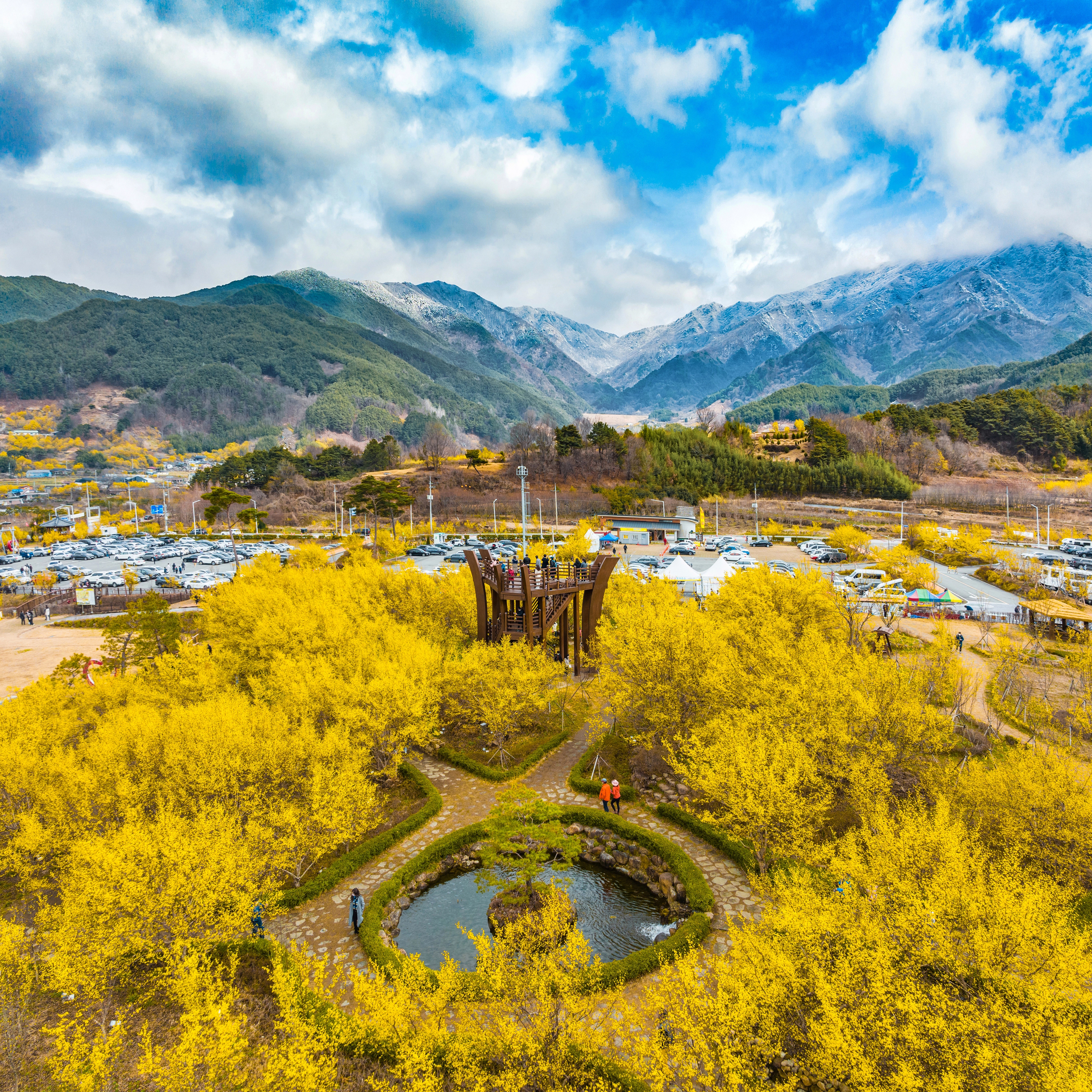 오는 14일부터 22일까지  지리산온천관광지 일원에서 ‘제27회 구례산수유꽃축제’가 열린다.