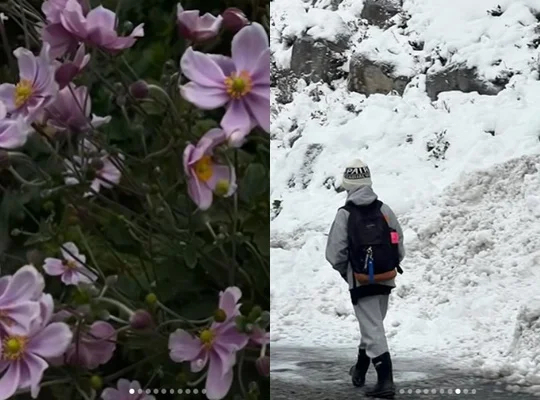 문정원이 4년 만에 올린 게시물. 문정원 인스타그램