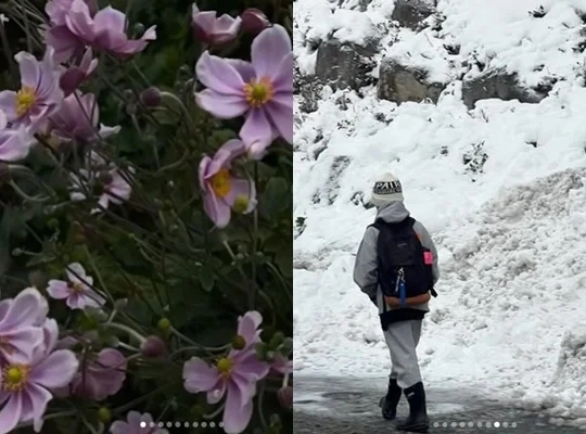 문정원이 4년 만에 올린 게시물. 문정원 인스타그램