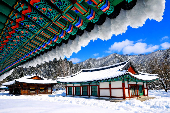 5일 강원 인제군 북면 설악산 자락에 자리한 백담사가 최근 내린 폭설로 하얗게 뒤덮여 고요한 풍경을 연출하고 있다. 2026.3.5. 인제군 제공