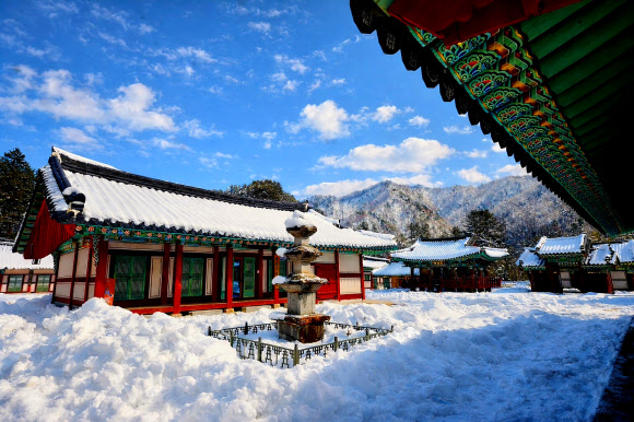 5일 강원 인제군 북면 설악산 자락에 자리한 백담사가 최근 내린 폭설로 하얗게 뒤덮여 고요한 풍경을 연출하고 있다. 2026.3.5. 인제군 제공