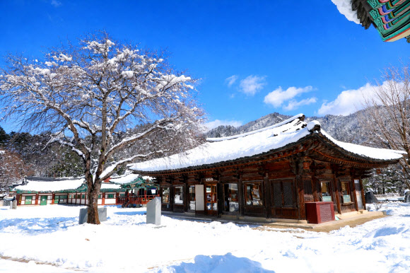 5일 강원 인제군 북면 설악산 자락에 자리한 백담사가 최근 내린 폭설로 하얗게 뒤덮여 고요한 풍경을 연출하고 있다. 2026.3.5. 인제군 제공