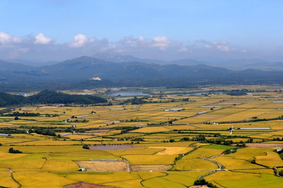 강원 소이산 정상에서 본 철원평야. 연합뉴스