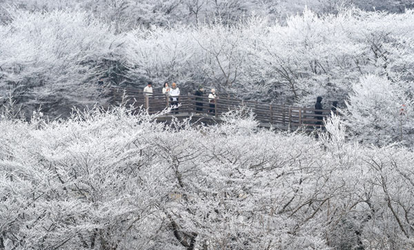 기습 추위가 찾아온 7일 오전 제주 한라산 1100고지 습지 인근 고지대에 상고대가 활짝 피어나 봄 계절 속 겨울 정취를 자아내고 있다. 2026.03.07. 뉴시스