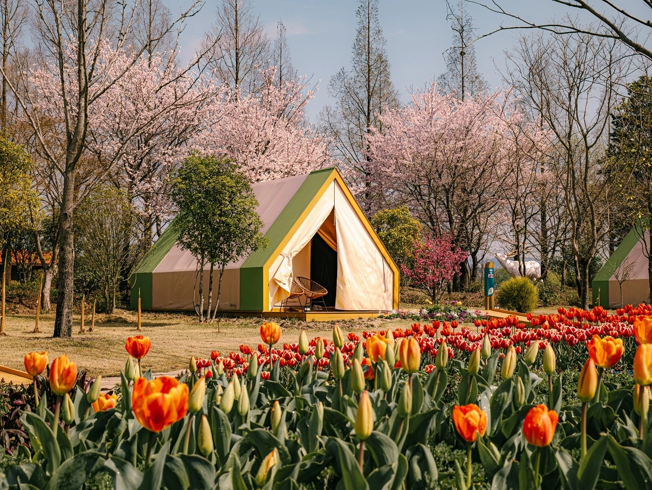 순천 정원워케이션 캐빈하우스