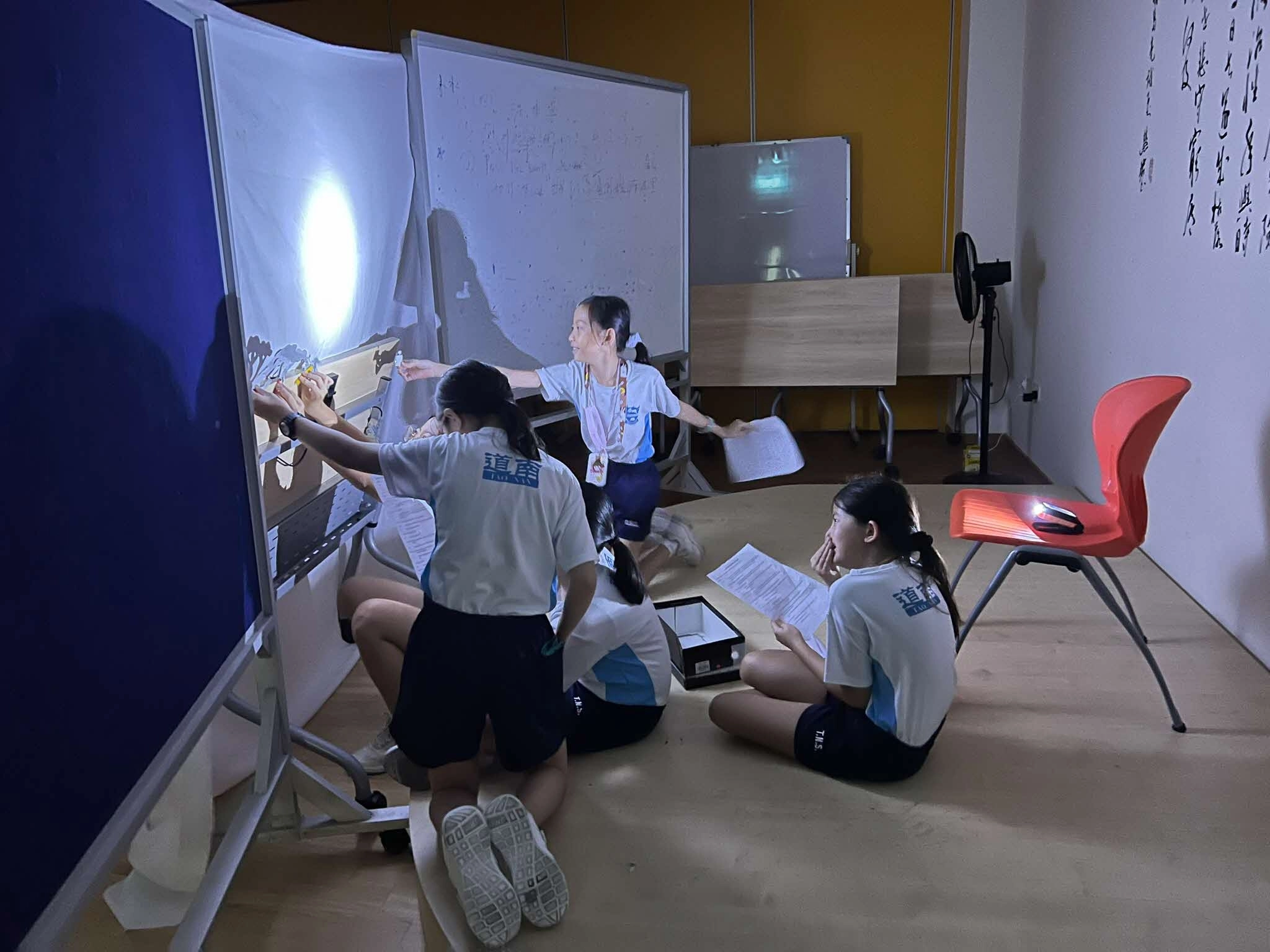 3  싱가포르 타오난 초등학교 학생들이 인형극을 하면서 빛과 그림자의 원리에 대해 배우고 있다. 싱가포르교육부 제공