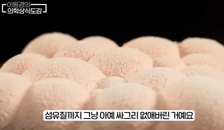 영상의학과 전문의 이원경 원장은 한국인들이 일상적으로 먹는 음식 가운데 췌장 건강에 악영향을 줄 수 있는 식품들을 소개했다. 유튜브 채널 ‘이원경의 의학상식도감’ 캡처