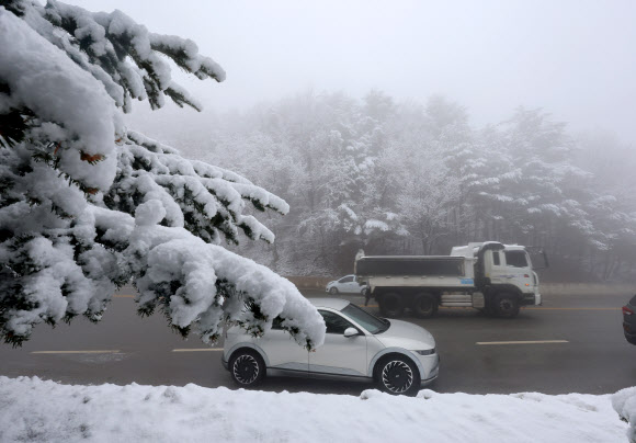 강원 산간에 최고 25㎝가 넘는 폭설이 쏟아진 13일 강릉시 성산면 옛 영동고속도로 대관령 구간이 짙은 안개 속에 흰 눈이 덮여 있다. 2026.3.13 연합뉴스