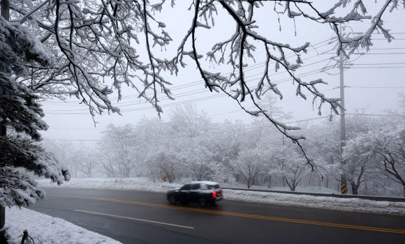 강원 산간에 최고 25㎝가 넘는 폭설이 쏟아진 13일 강릉시 성산면 옛 영동고속도로 대관령 구간이 짙은 안개 속에 흰 눈이 덮여 있다. 2026.3.13 연합뉴스