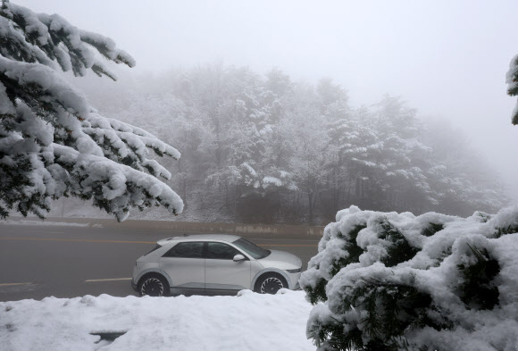 강원 산간에 최고 25㎝가 넘는 폭설이 쏟아진 13일 강릉시 성산면 옛 영동고속도로 대관령 구간이 짙은 안개 속에 흰 눈이 덮여 있다. 2026.3.13 연합뉴스
