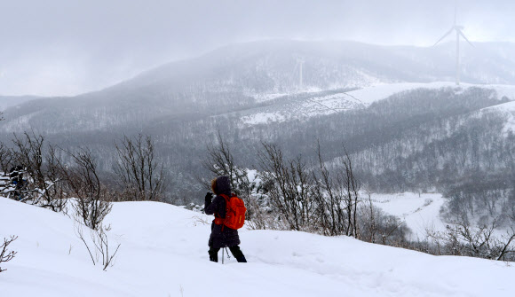 13일 대설주의보가 내린 강원도 평창군 대관령면 선자령 부근에서 등산객들이 이동하고 있다. 2026.3.13 연합뉴스