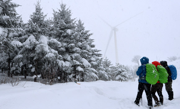 13일 대설주의보가 내린 강원도 평창군 대관령면 선자령 부근에서 등산객들이 설경을 즐기고 있다. 2026.3.13 연합뉴스