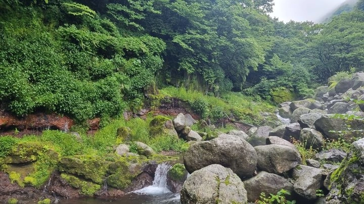 어리목계곡의 모습.
국가유산청 제공