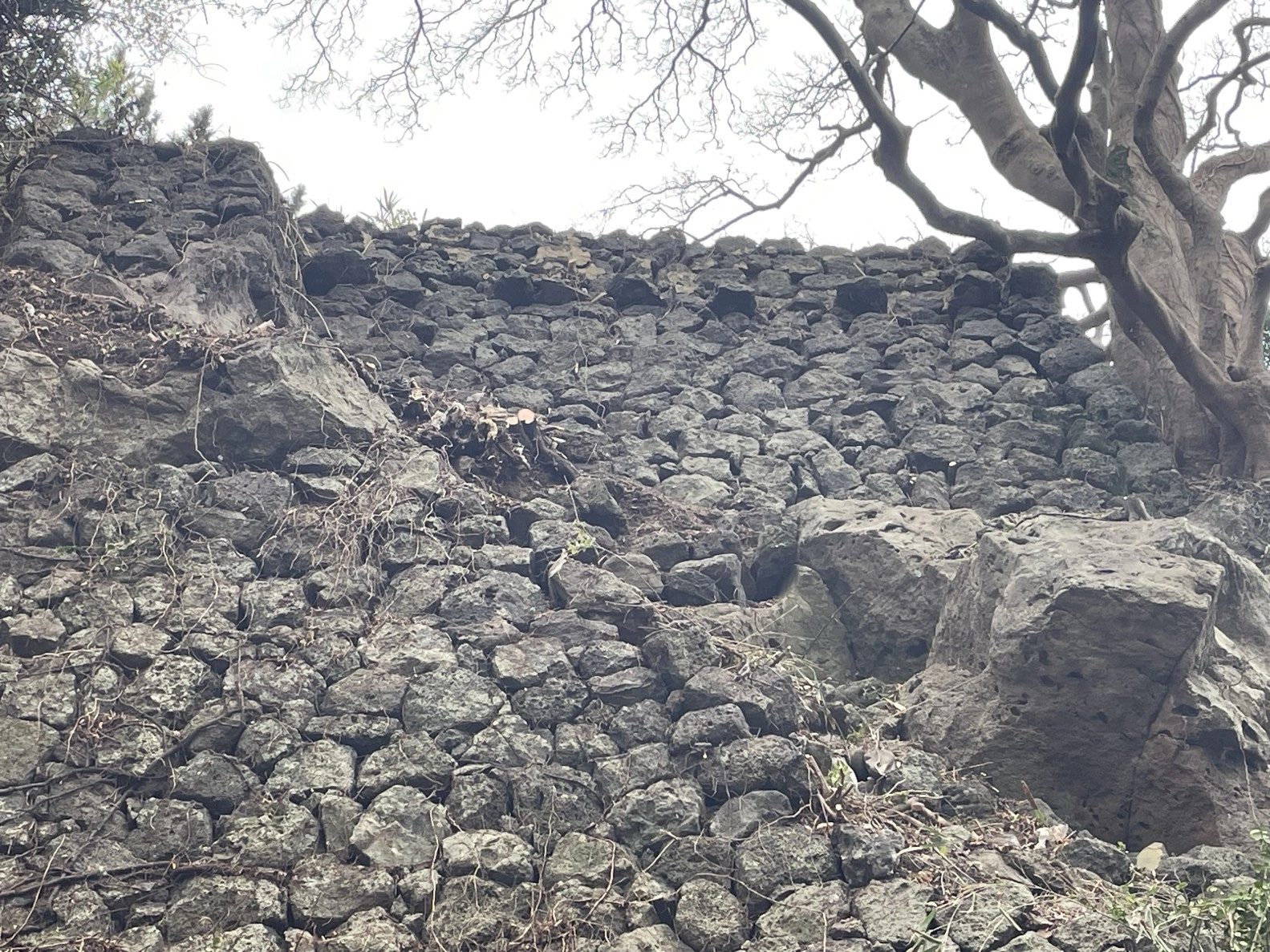 여장시설 확대 모습. 제주도 제공