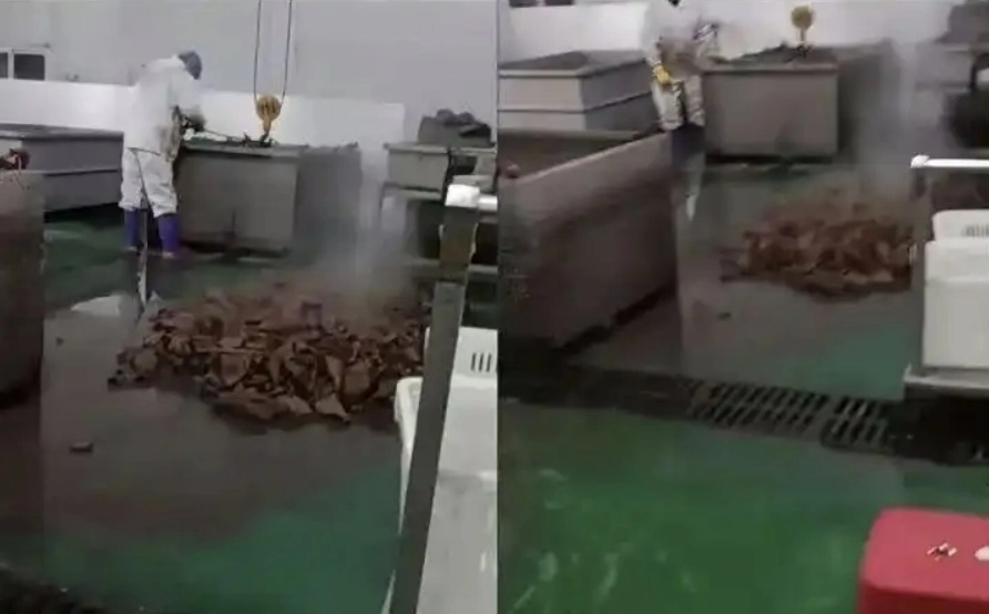 중국에서 1300만명이 넘는 팔로워를 보유한 유명 인플루언서 ‘루하’가 판매한 즉석식품의 가공공장에 대해 위생 문제가 제기돼 공장의 영업이 중단되고 제품 환불 및 보상 조치가 진행 중이다. 사진은 공장에서 식재료를 지저분한 맨바닥에 방치한 모습. 자료 : 중국 웨이보