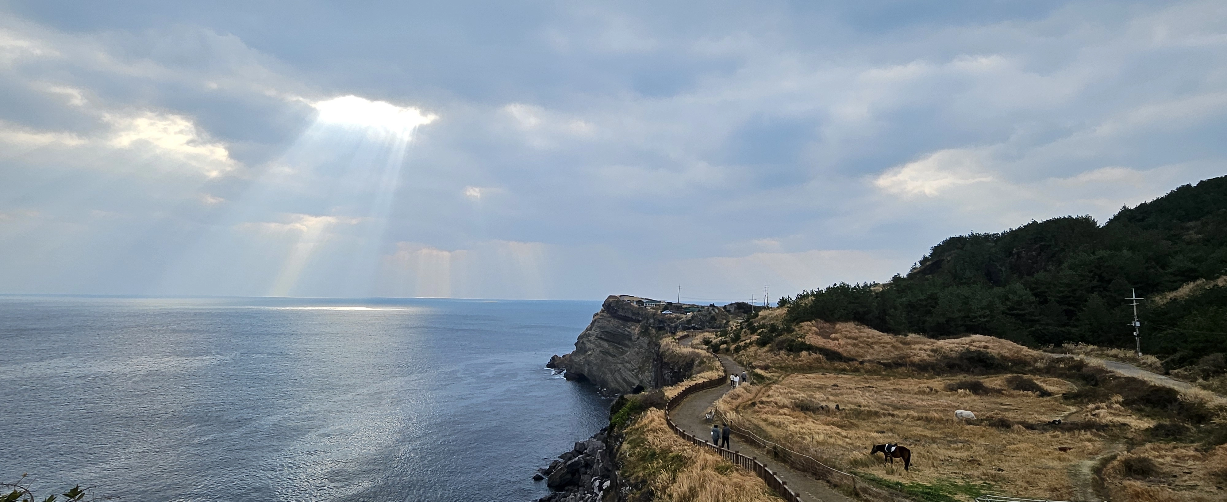 약 3700년전에 형성된 것으로 알려진 서귀포시 송악산 일대 전경. 제주 강동삼 기자