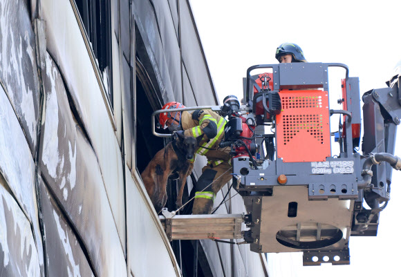 소방 관계자가 21일 오전 대형 화재가 발생한 대전 대덕구 안전공업으로 구조견과 함께 진입하고 있다. 2026.3.21 연합뉴스