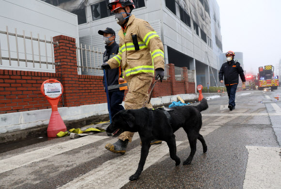 21일 오전 대형 화재가 발생한 대전 대덕구 안전공업에 실종자를 찾기 위한 구조견이 투입되고 있다 2026.3.21 연합뉴스