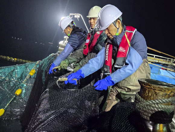 더불어민주당 정청래 대표가 28일 새벽 경북 영덕 앞바다에서 조업에 참여해 물고기로 가득 찬 어망을 끌어 올리고 있다. 2026.3.28  국회기자단 공동취재