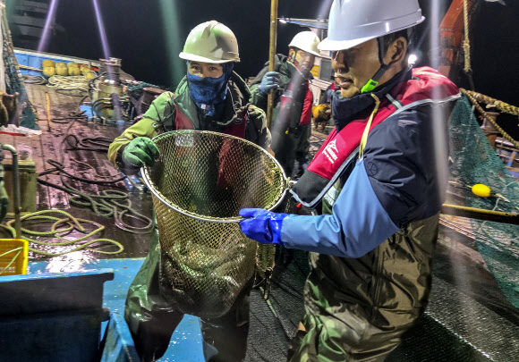더불어민주당 정청래 대표가 28일 새벽 경북 영덕 앞바다에서 조업에 참여해 잡은 물고기를 옮기고 있다. 2026.3.28  국회기자단 공동취재
