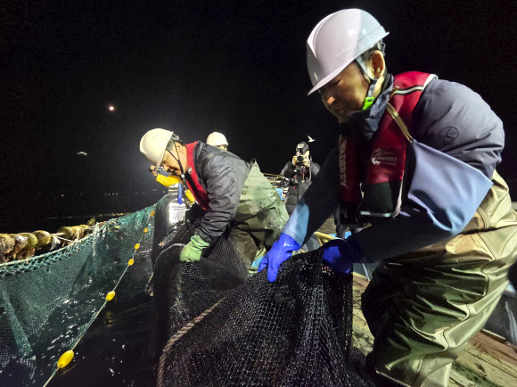 더불어민주당 정청래 대표가 28일 새벽 경북 영덕 앞바다에서 조업에 참여해 물고기로 가득 찬 어망을 끌어 올리고 있다. 2026.3.28  국회기자단 공동취재